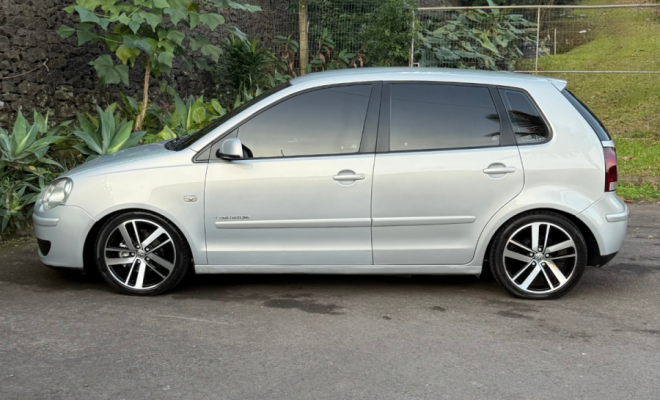 VW - VolksWagen Polo 1.6 Mi/S.Ouro 1.6 Mi Tot.Flex 8V 5p 2007 Flex-6