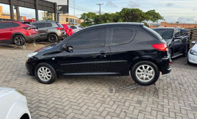 Peugeot 207 XR 1.4 Flex 8V 3p 2013 Flex-16