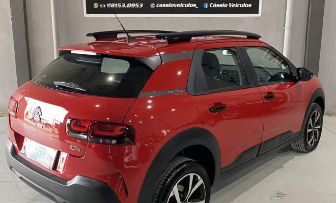 Citroën C4 CACTUS SHINE 1.6 Turbo Flex Aut. 2019 Flex-1
