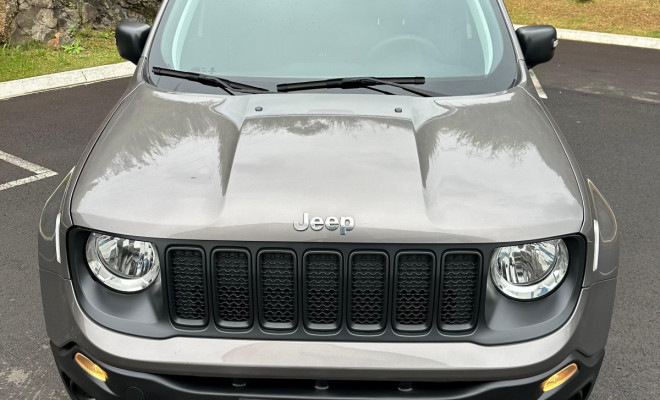 Jeep Renegade1.8 4x2 Flex 16V Aut. 2021 Flex-1