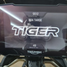 TRIUMPH TIGER 900 RALLY ARAGON Edition 2024 Gasolina-4