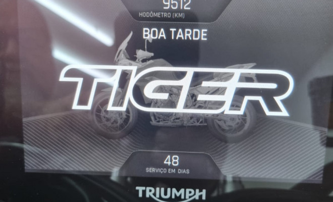 TRIUMPH TIGER 900 RALLY ARAGON Edition 2024 Gasolina-4