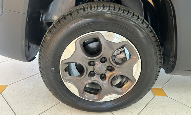 Jeep Renegade1.8 4x2 Flex 16V Aut.(PCD) 2018 Flex-11
