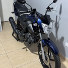 YAMAHA YBR 150 FACTOR ED/FLEX 2024 Flex-1