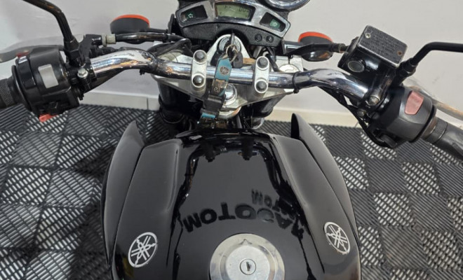 YAMAHA YS 250 FAZER/ FAZER L. EDITION /BLUEFLEX 2008 Gasolina-2