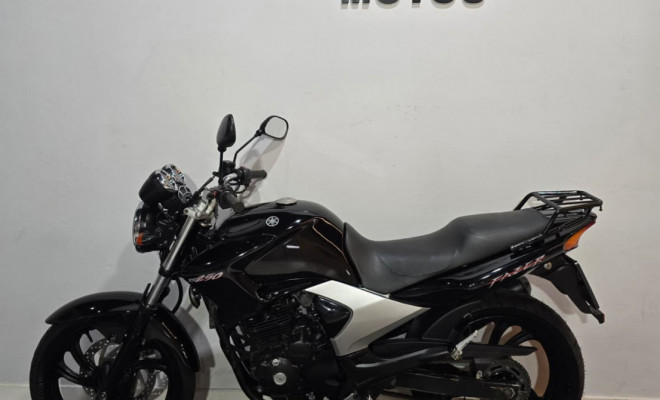 YAMAHA YS 250 FAZER/ FAZER L. EDITION /BLUEFLEX 2008 Gasolina-4