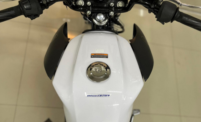 YAMAHA YBR 150 FACTOR ED/FLEX 2022 Flex-2