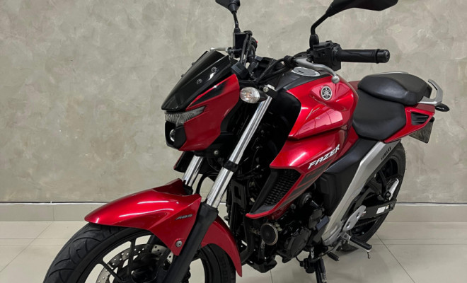 YAMAHA FZ25 250 FAZER FLEX 2023 Flex-3