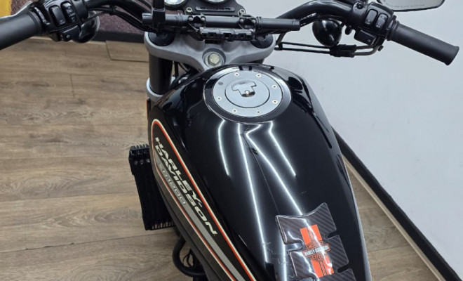 HARLEY-DAVIDSON XR 1200 SPORTSTER 2009 Gasolina-12