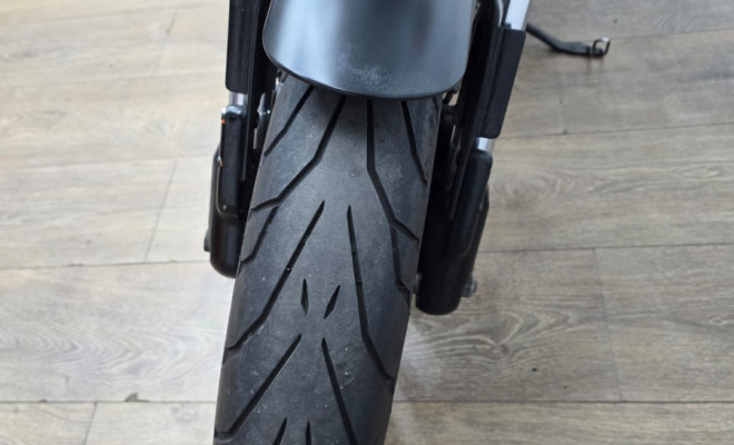 HARLEY-DAVIDSON XR 1200 SPORTSTER 2009 Gasolina-14