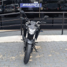 HONDA CB 300F Twister Flex 2024 Flex