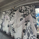 VOLKSWAGEN Delivery Express 2p (diesel)(E5) 2019 Diesel-9