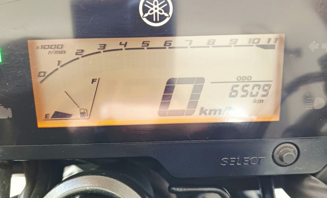 YAMAHA FZ25 250 FAZER FLEX 2023 Flex-4