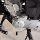 HONDA CG 150 TITAN-EX MIX/FLEX 2010 Flex-6