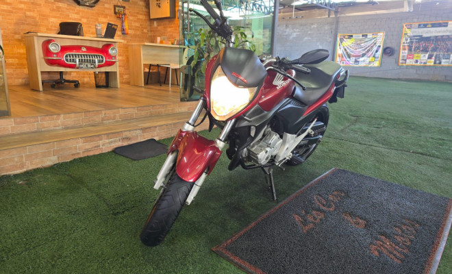 HONDA CB 300R/ 300R FLEX 2010 Flex-2