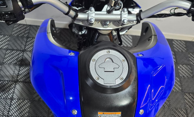 YAMAHA XTZ 250 LANDER 249cc/LANDER BLUEFLEX/ABS 2022 Flex-2