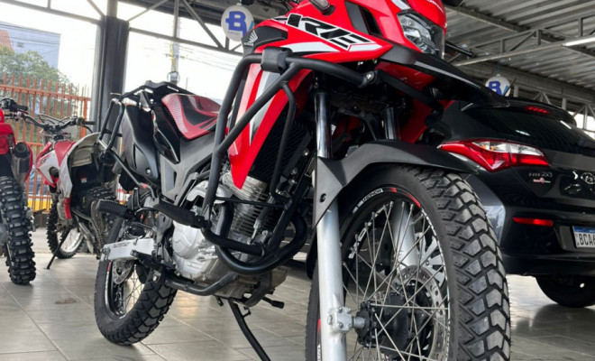 HONDA XRE 300 RALLY FLEX 2023 Flex-2