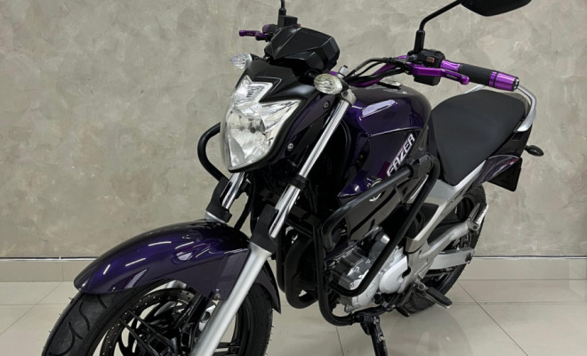 YAMAHA YS 250 FAZER/ FAZER L. EDITION /BLUEFLEX 2012 Flex-4