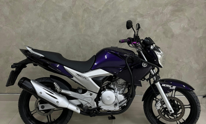 YAMAHA YS 250 FAZER/ FAZER L. EDITION /BLUEFLEX 2012 Flex-0