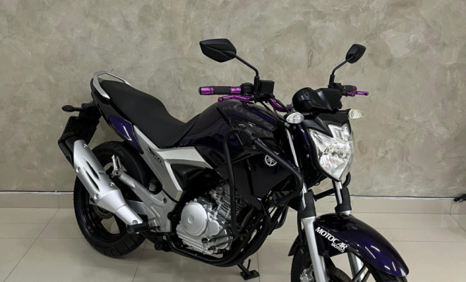 YAMAHA YS 250 FAZER/ FAZER L. EDITION /BLUEFLEX 2012 Flex