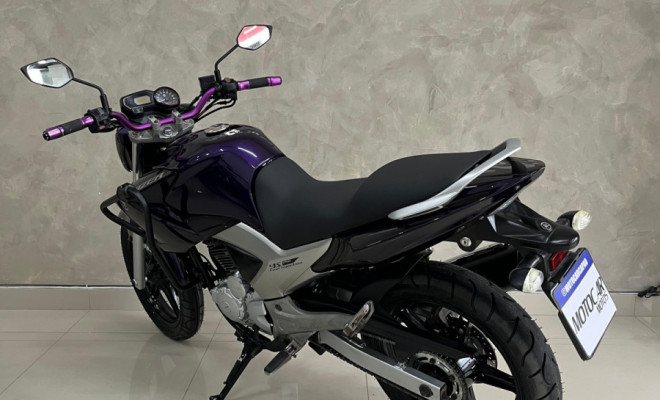 YAMAHA YS 250 FAZER/ FAZER L. EDITION /BLUEFLEX 2012 Flex-2
