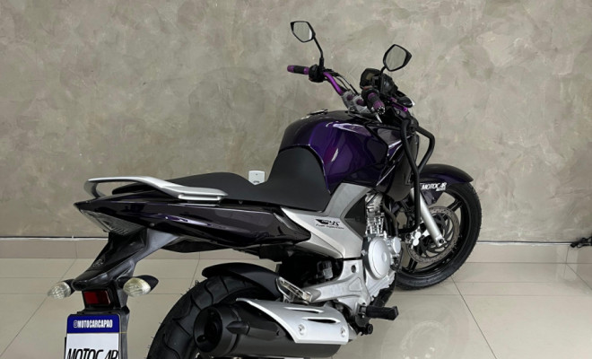 YAMAHA YS 250 FAZER/ FAZER L. EDITION /BLUEFLEX 2012 Flex-1
