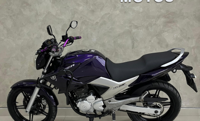 YAMAHA YS 250 FAZER/ FAZER L. EDITION /BLUEFLEX 2012 Flex-3