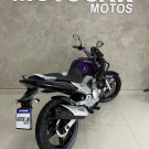 YAMAHA YS 250 FAZER/ FAZER L. EDITION /BLUEFLEX 2012 Flex-1