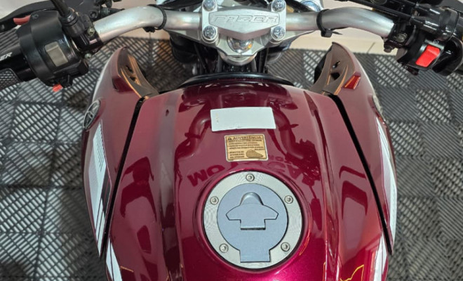 YAMAHA YS 250 FAZER/ FAZER L. EDITION /BLUEFLEX 2016 Flex-2