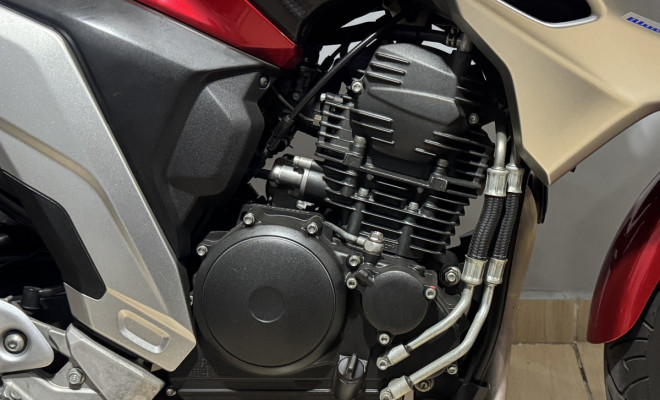 YAMAHA FZ25 250 FAZER FLEX 2021 Flex-3