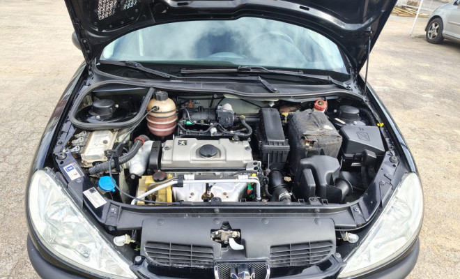 Peugeot 206 Sensation 1.4 Flex 8V 5p 2010 Flex-13