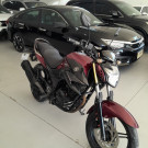 YAMAHA YS 250 FAZER/ FAZER L. EDITION /BLUEFLEX 2017 Flex-8