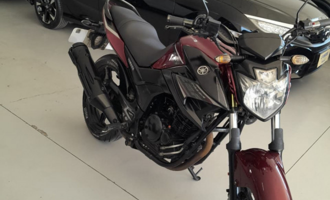 YAMAHA YS 250 FAZER/ FAZER L. EDITION /BLUEFLEX 2017 Flex-1