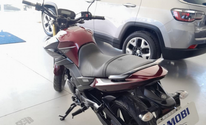 YAMAHA YS 250 FAZER/ FAZER L. EDITION /BLUEFLEX 2017 Flex-7