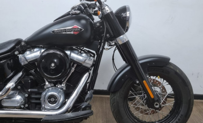 HARLEY-DAVIDSON SOFTAIL SLIM FLSL 2019 Gasolina-6