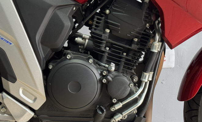 YAMAHA FZ25 250 FAZER FLEX 2023 Flex-3