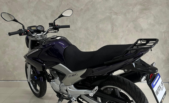 YAMAHA YS 250 FAZER/ FAZER L. EDITION /BLUEFLEX 2012 Flex-3