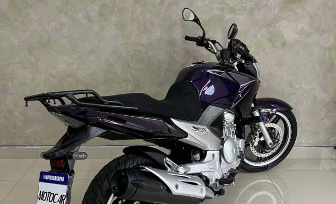 YAMAHA YS 250 FAZER/ FAZER L. EDITION /BLUEFLEX 2012 Flex-1