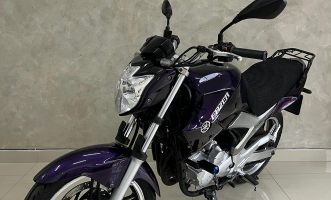 YAMAHA YS 250 FAZER/ FAZER L. EDITION /BLUEFLEX 2012 Flex-5