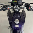 YAMAHA YS 250 FAZER/ FAZER L. EDITION /BLUEFLEX 2012 Flex-2