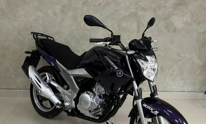 YAMAHA YS 250 FAZER/ FAZER L. EDITION /BLUEFLEX 2012 Flex
