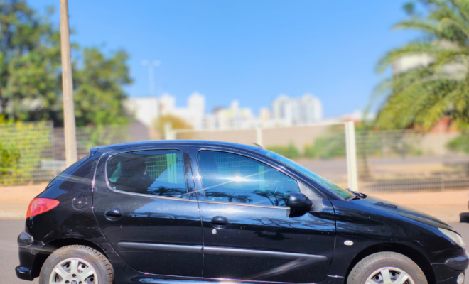 Peugeot 206 Presence 1.4 2008 Flex (repasse)-2