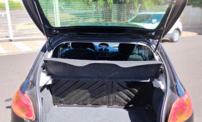 Peugeot 206 Presence 1.4 2008 Flex (repasse)-11