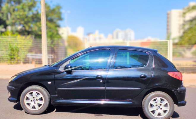 Peugeot 206 Presence 1.4 2008 Flex (repasse)-6