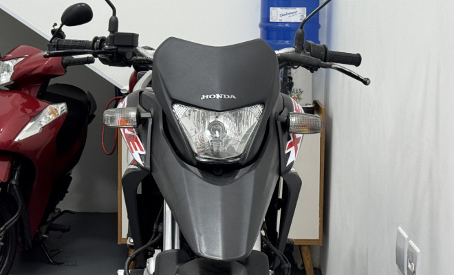 HONDA XRE 300/ 300 ABS/ FLEX 2015 Flex-5