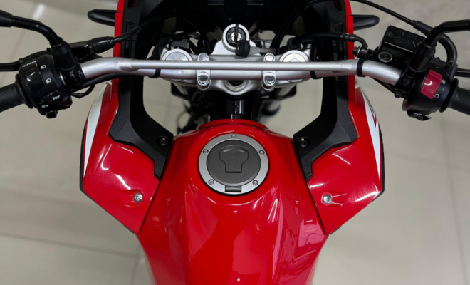 HONDA XRE 300 RALLY FLEX 2023 Flex-2
