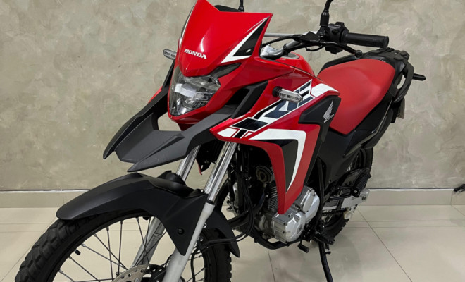 HONDA XRE 300 RALLY FLEX 2023 Flex-5