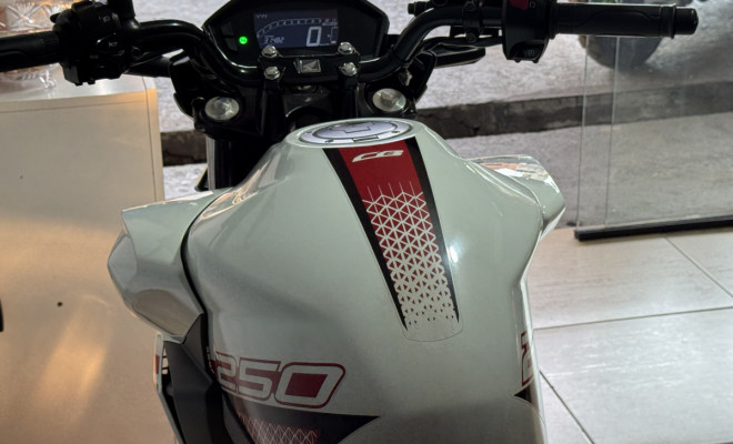 HONDA CB 250 TWISTER/FLEXONE 2022 Flex-4