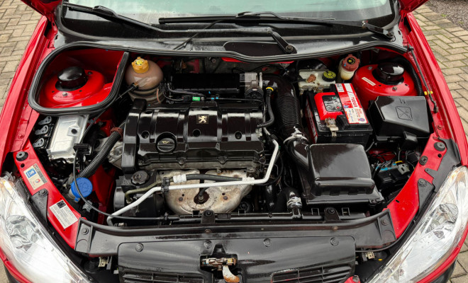 Peugeot 206 SW ESCAPADE 1.6 16V Flex 5p 2008 Flex-9