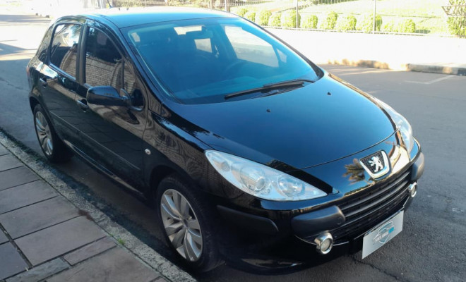 Peugeot 307 Soleil/ Presence 1.6/1.6 Flex 16V 5p 2008 Flex